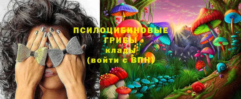 Галлюциногенные грибы Cubensis  Когалым 